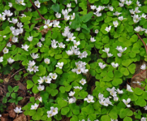 ����������� ��������!