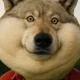 Аватар пользователя Happybobrbodr