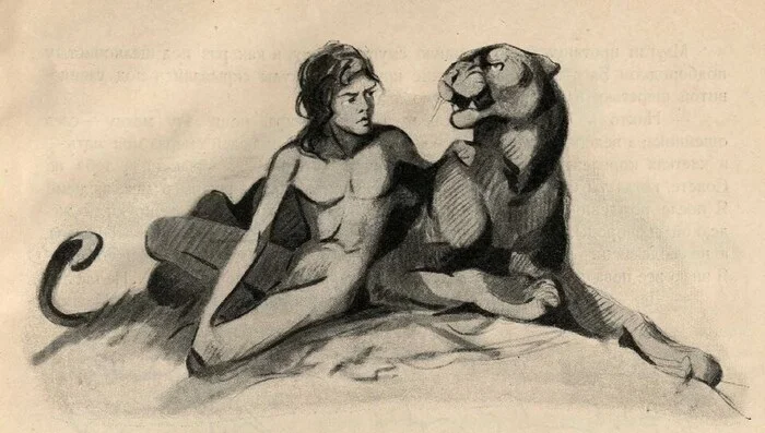 Маугли - выдуманное слово и несуществующая книга Детская литература, Сказка, Редьярд Киплинг, Маугли, Длиннопост