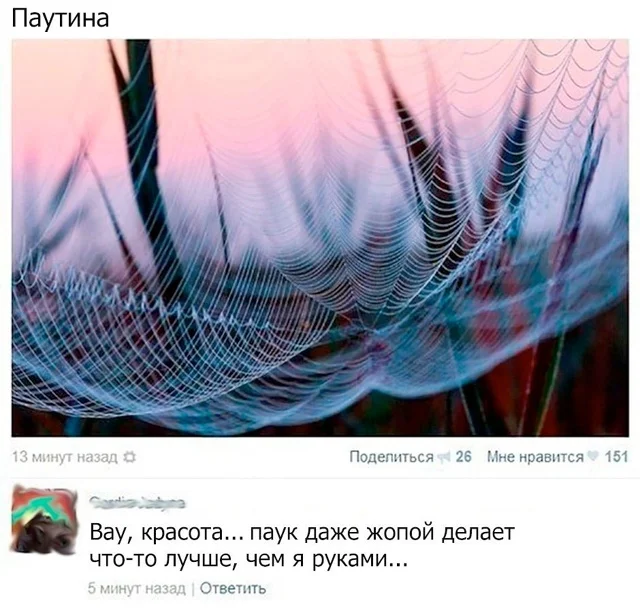 uehvkcjm.webp
