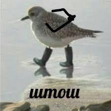      ,  , ,  , , , ,   , , 