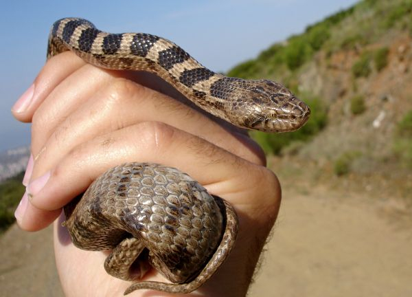  :     .     ? , , ,  ,  ,   (), 