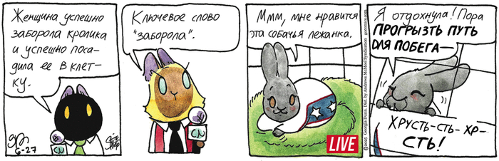    27.06.2025 ,   (), , 