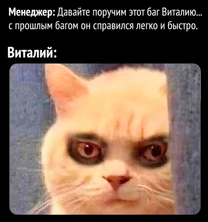     , , IT , ,   , , 