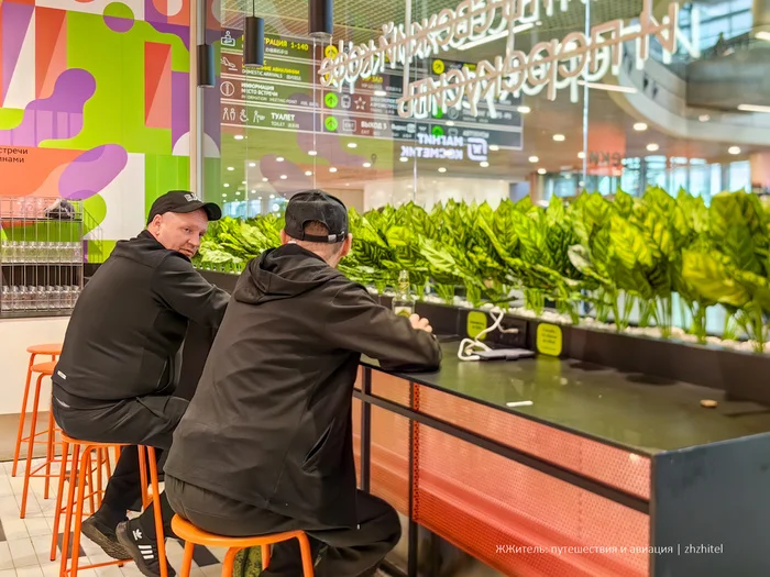 В аэропорту Домодедово резко подешевело: открылся «Магнит» без бешеных наценок Продукты, Туризм, Экономия, Цены, Путешествия, Домодедово, Аэропорт, Супермаркет Магнит, Путешествие по России, Лайфхак, Фотография, Длиннопост