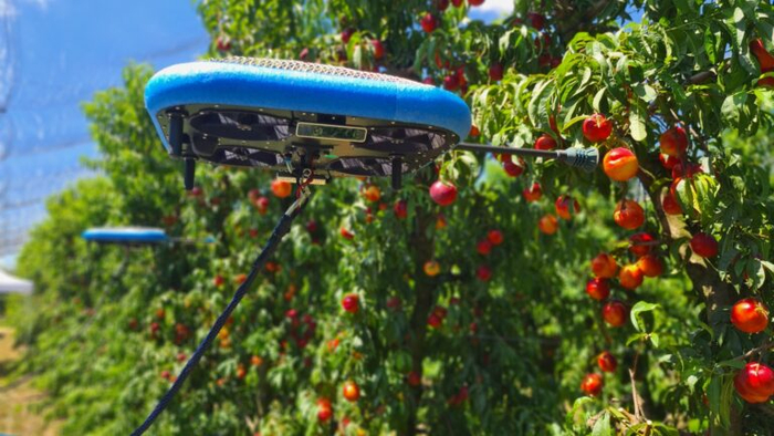 Tevel Aerobotics FAR на работе в Италии. Фото предоставлено Tevel