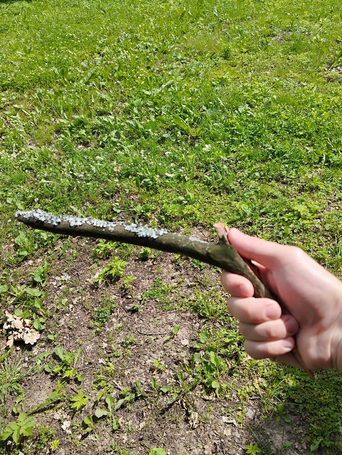 ������ �� �������