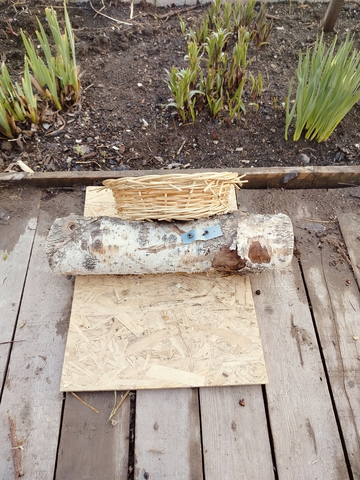 Фото весной, после зимовки.