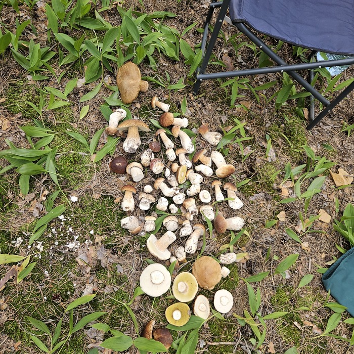 Промежуточные итоги и сортировка