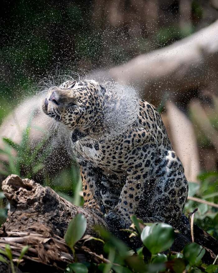     ,  ,  ,  ,  ,  ,  , , , , 