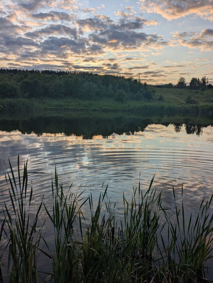 �������� ���������, ������ �������, � ������� ������� � ����.