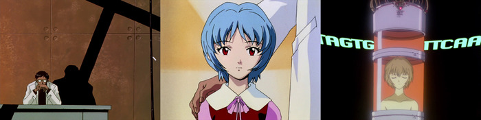 Гендо задумывается о плане комплементации человечества. Рей I. Процедуры по поддержанию гомеостаза Рей (предположительно)