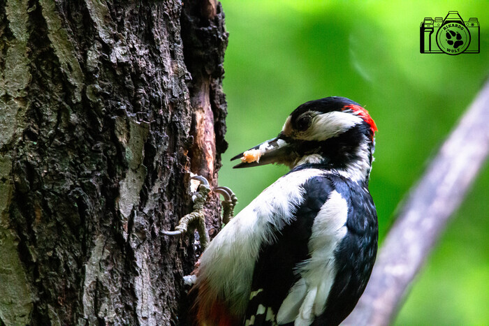Работа работой, а обед по расписанию