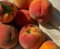 ���������� �� �������/�������. (�������, 29.06.25)