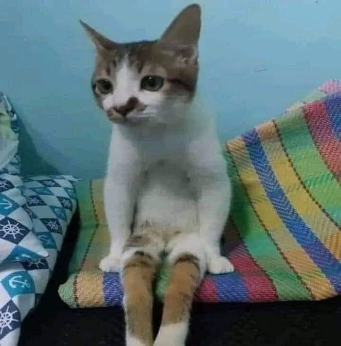  , 