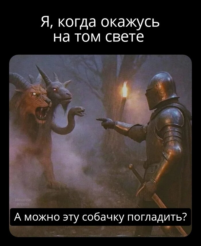   ? ,  ,   , Telegram ()