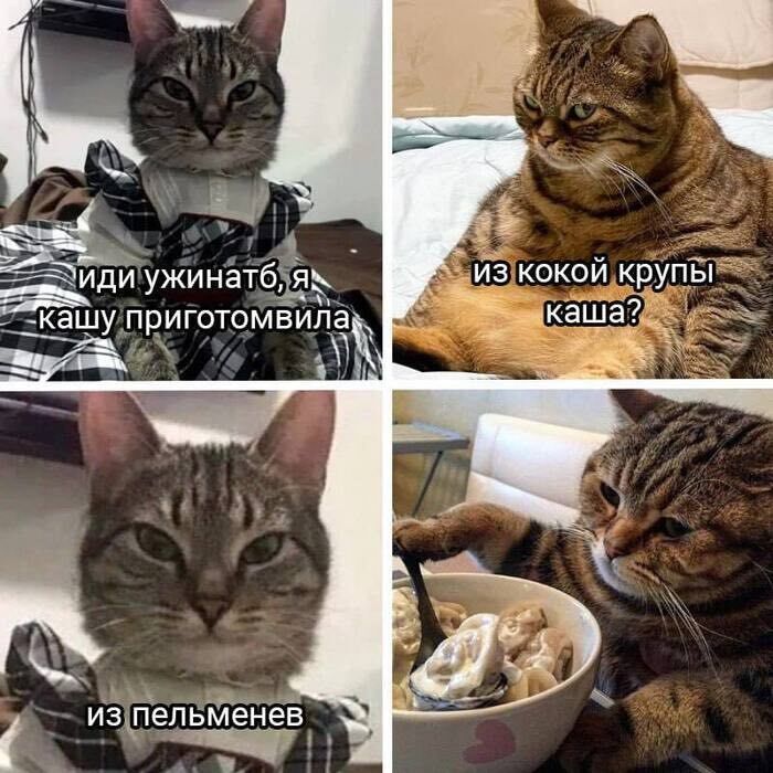  ,   , , , 