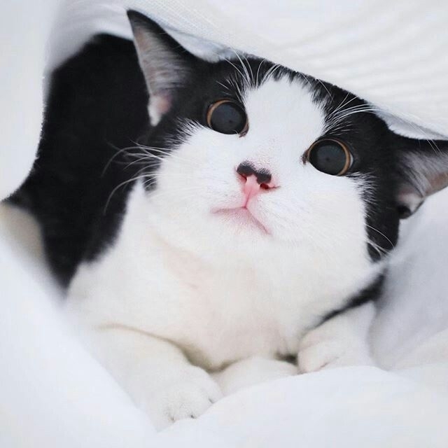       , , , , , , , 
