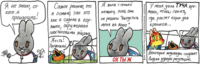    01.07.2025 ,   (), , 