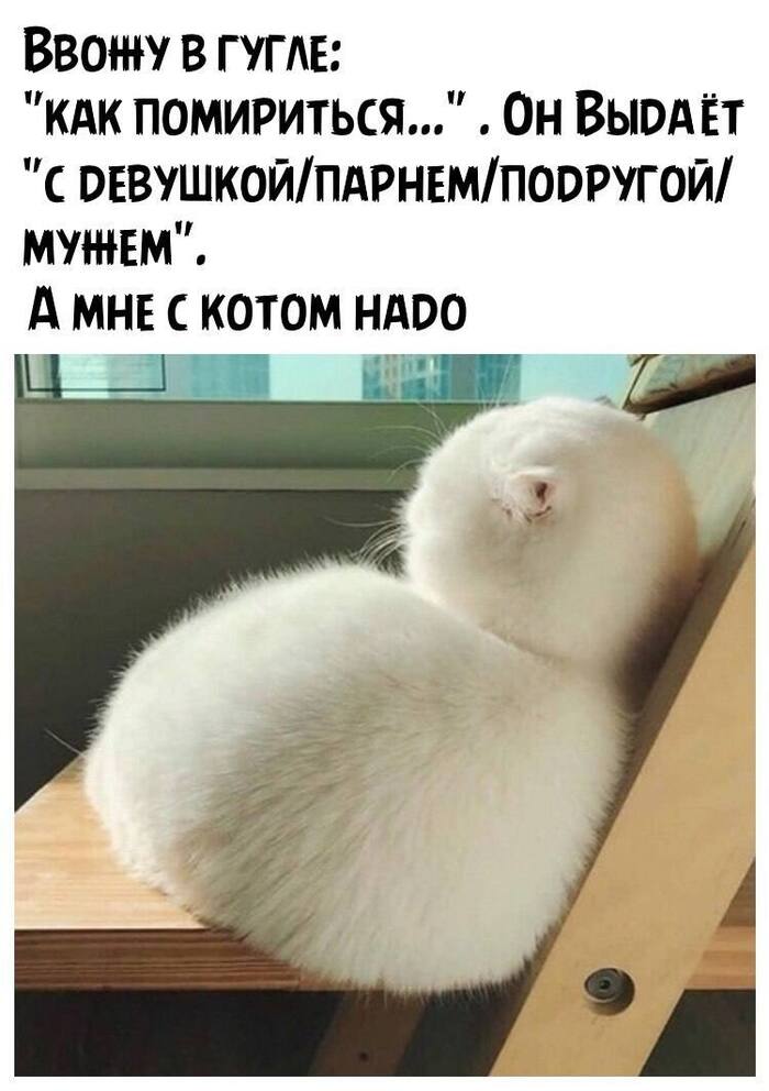   ! , , ,   