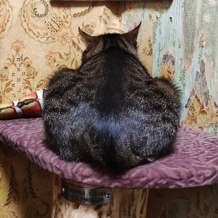    ... , ,  ,  , 