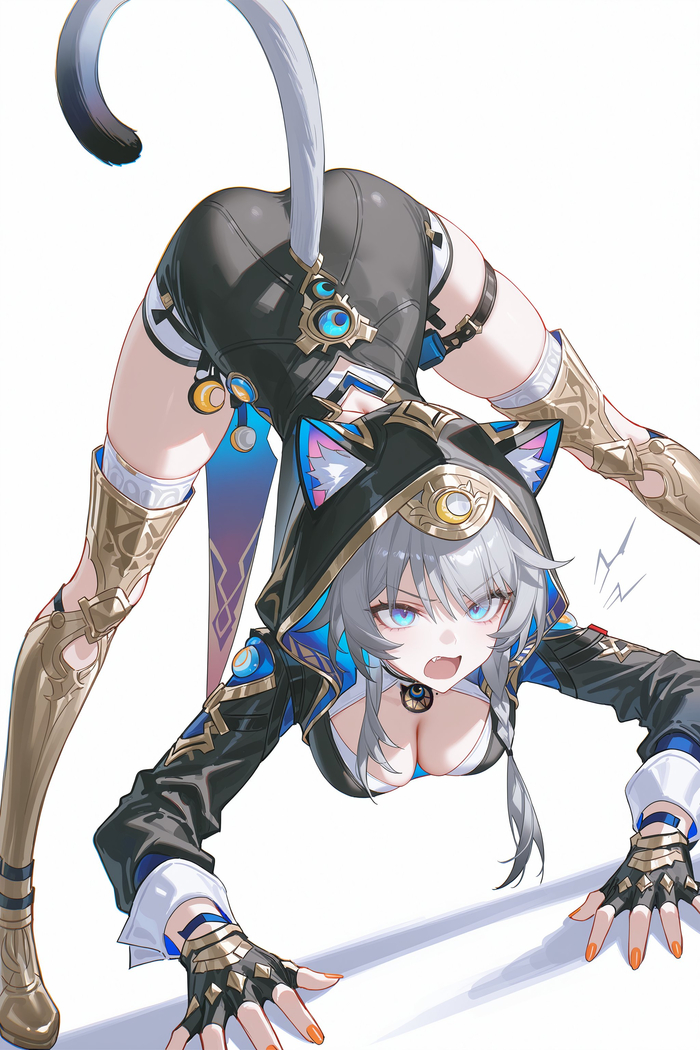   Cipher Honkai: Star Rail, Cipher (Honkai: Star Rail), , , , , Anime Art,  , ,   