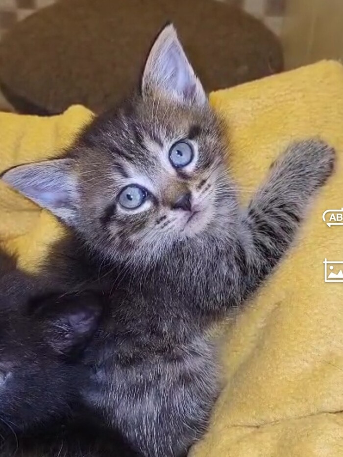      .    ,  ,  , , ,  ,  , ,   