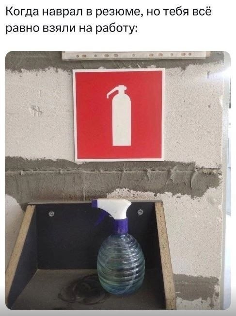   , 