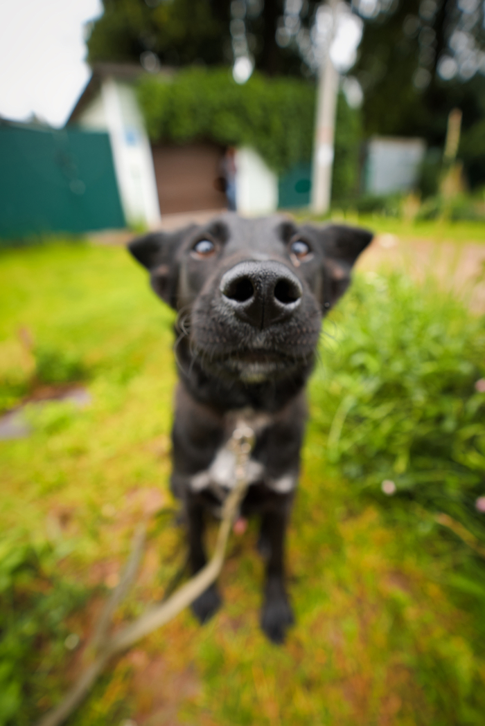 Сейчас ( им 7,5 месяцев)