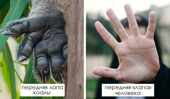  :    , , , ,   , , , , , , , , , RUTUBE,  , 