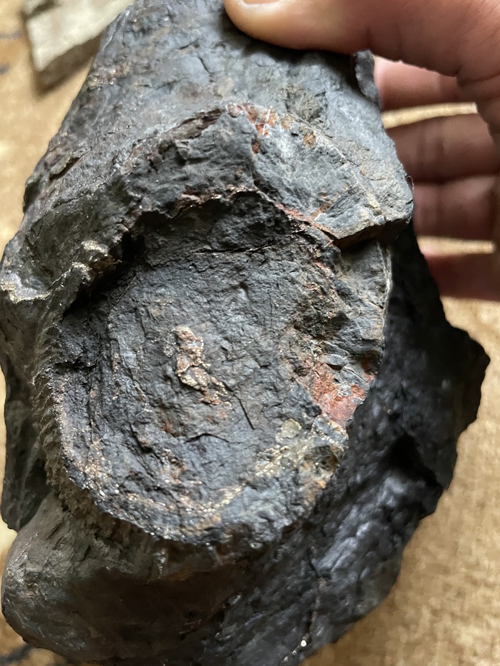 когда то была ветка