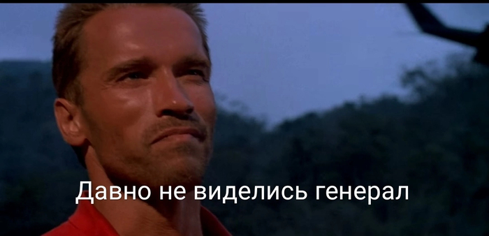        ,  (),  , 