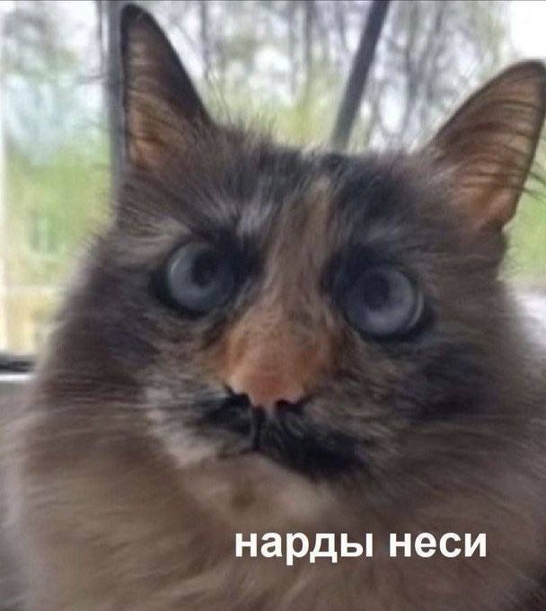   ,  , , 