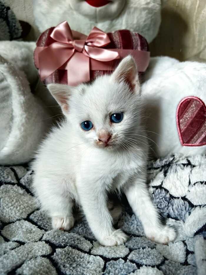    ,  ,   ,   ,  , ,  , , , 