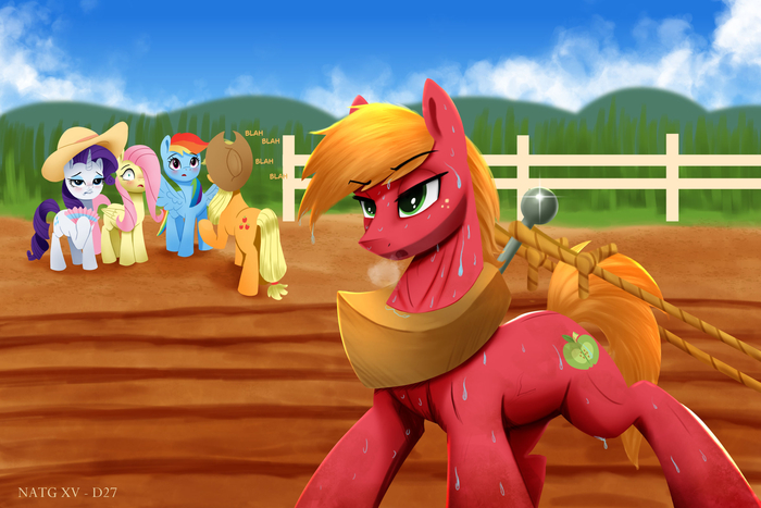   My Little Pony, Big Macintosh, Fluttershy, Applejack, Rarity, Rainbow Dash