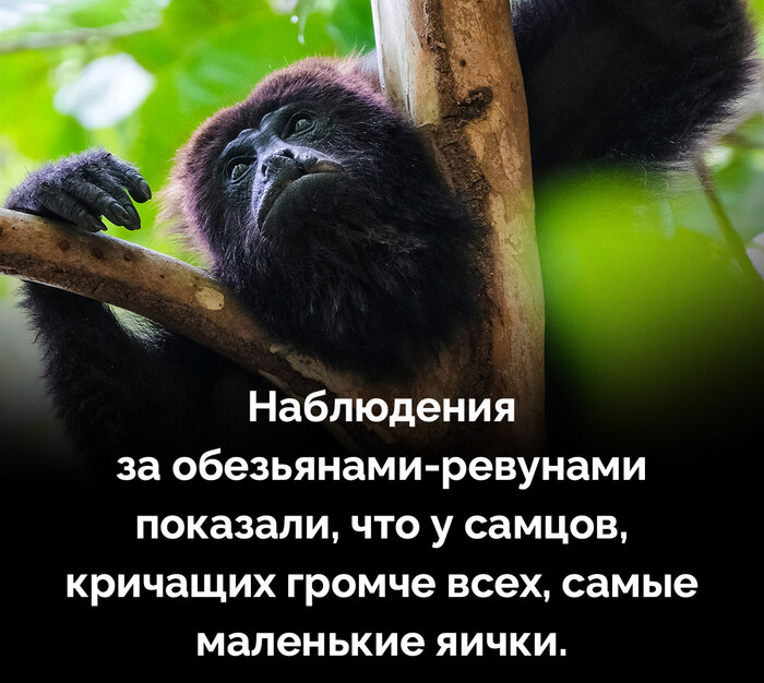     5 , , ,  