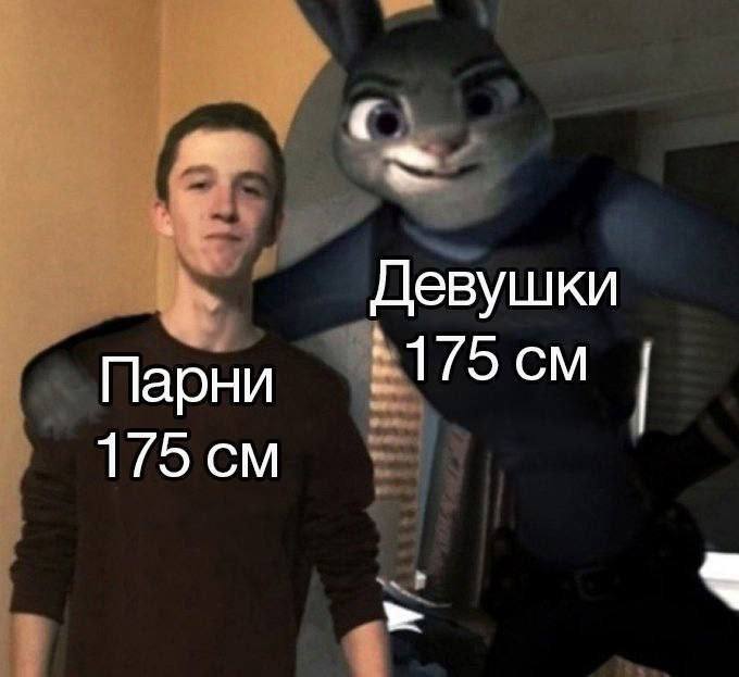    : , , ,   , Judy Hopps
