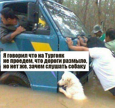    - )0)) , Pikabu Publish Bot, ,   , , , , 