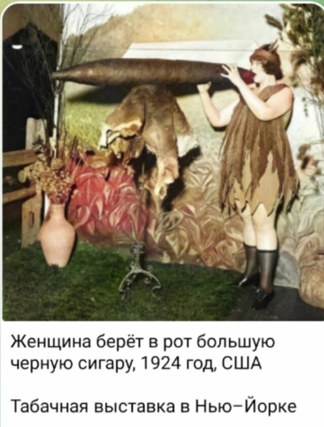 , ! , Telegram (), , , 