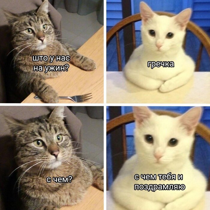 , !   , , , , , ,  , 