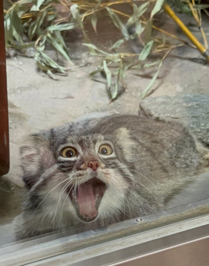         ,  ,  , ,  , , 