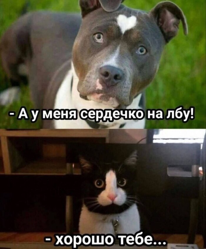      , , , ,  
