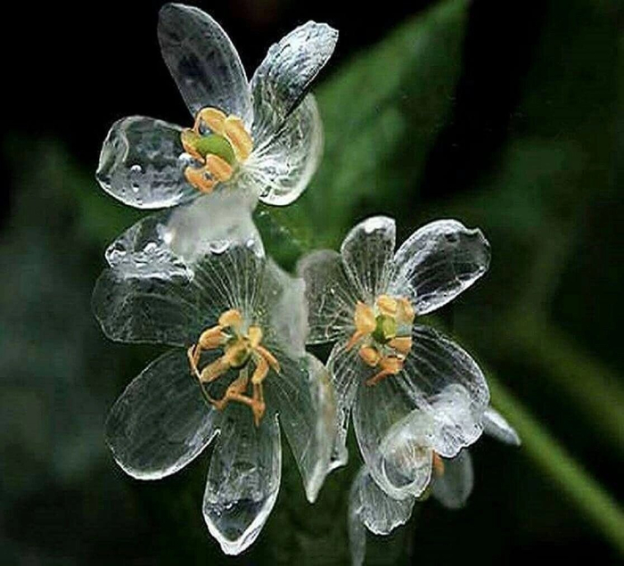   -   , , ,  ,  ,   (), 