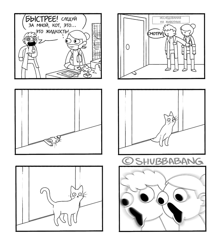   , , , ,   , Shubbabang