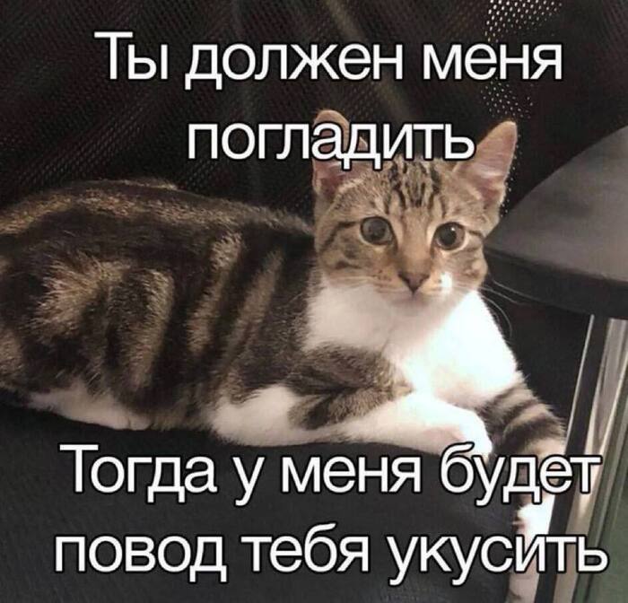, 