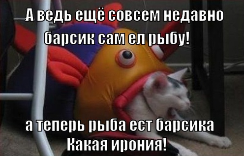  .   ,         , ,  ,  ,    , , ,  , 