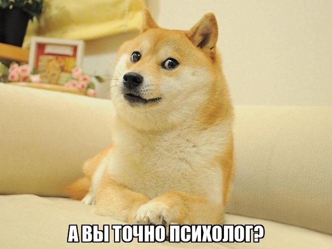     ,          , ,  , ,  , 
