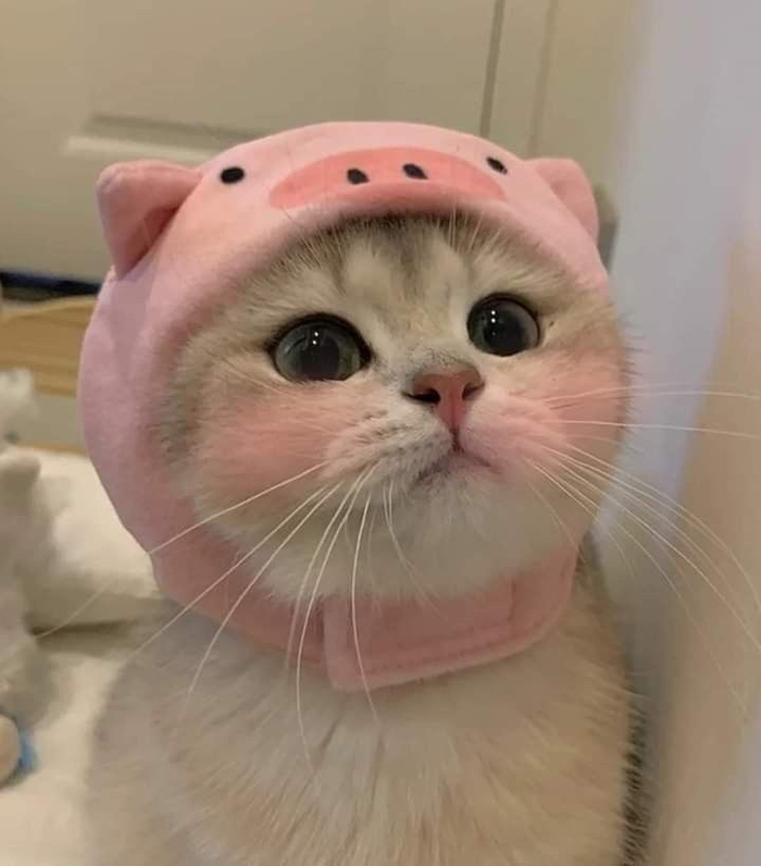  , , , , 