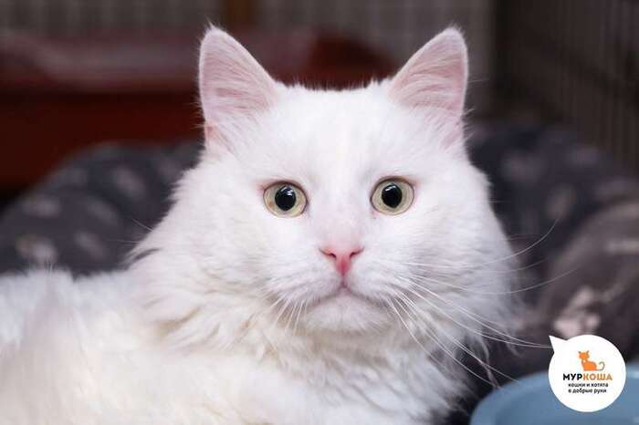      !   ,  , , ,   ,  , , , ,  ,  , 