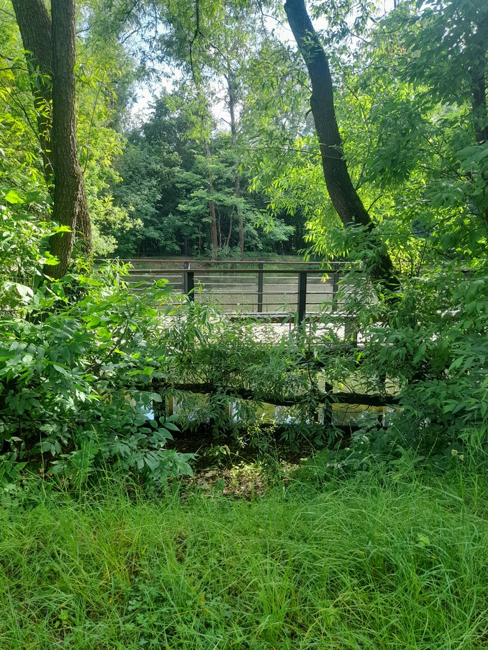 Локасинский пруд